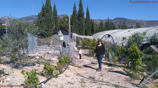 huerta2