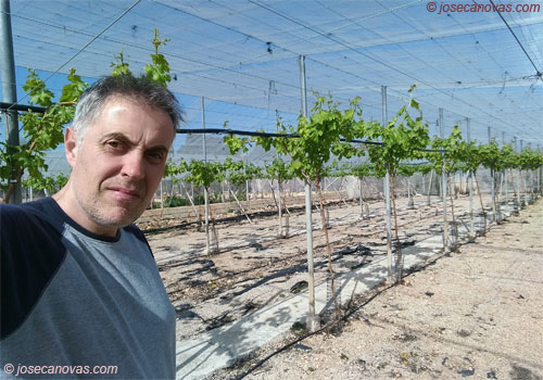 huerta3