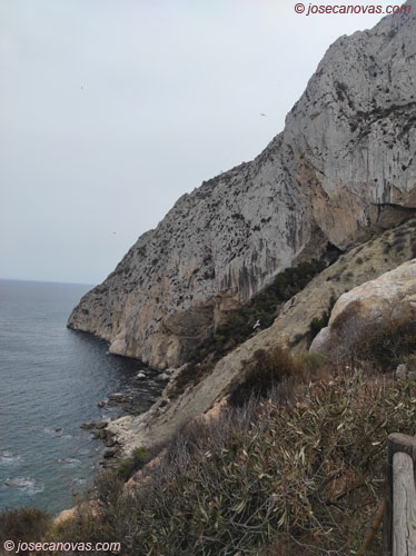 levante2