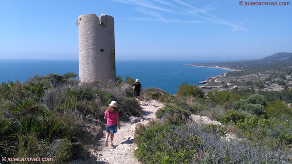 torre