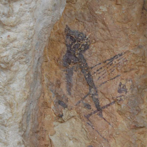 fotocolumna