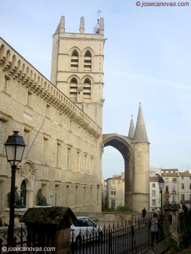 catedral