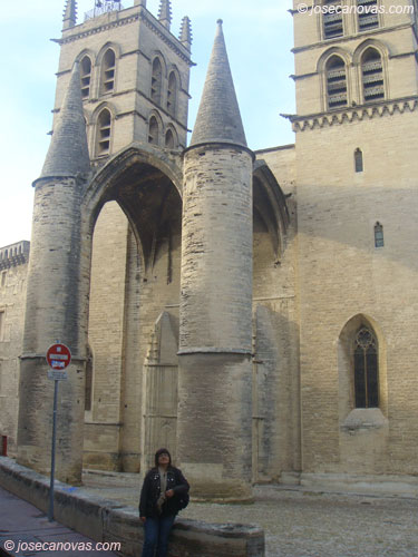 catedral3