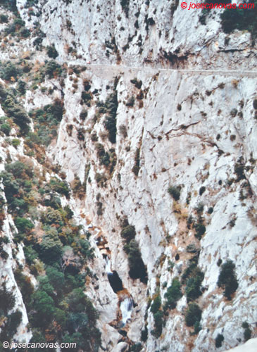 galamus2