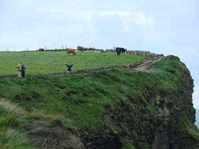 moher6