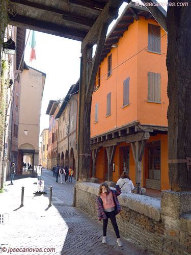 grassi2