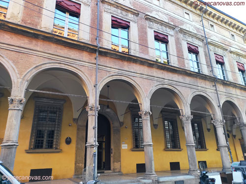 bonasoni