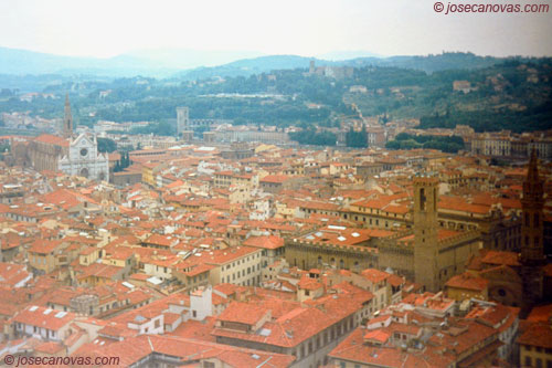 cupula