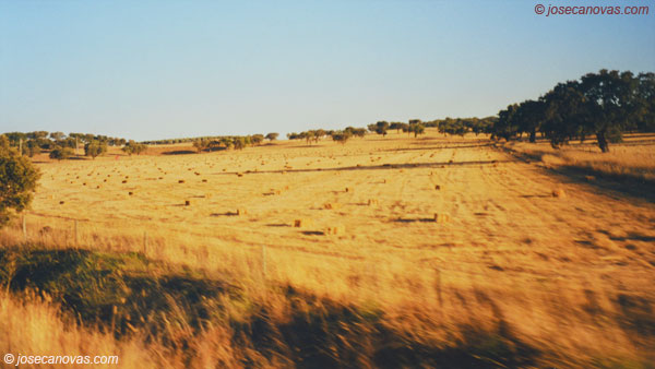 campos