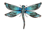 libelula