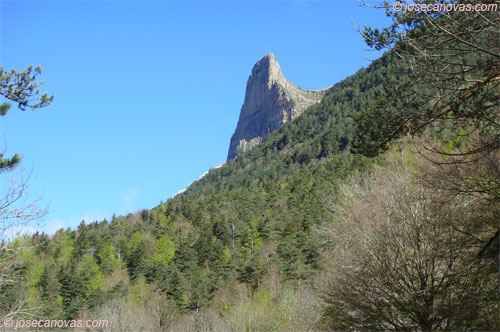 tozal