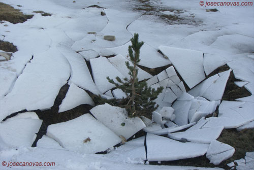 hielo