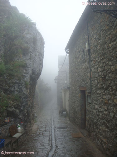 niebla