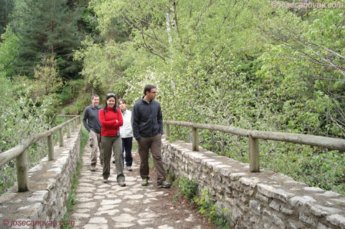 navarros3