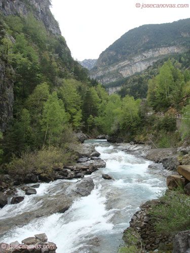 navarros4