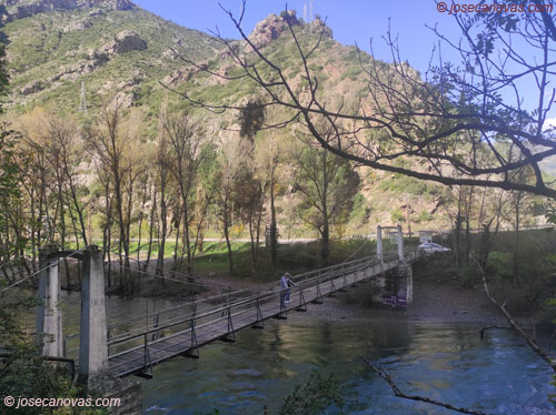 puente5