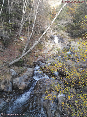 certascan