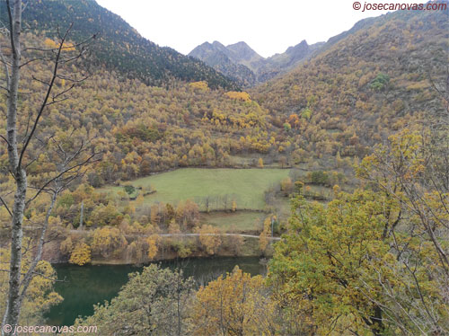 pantano