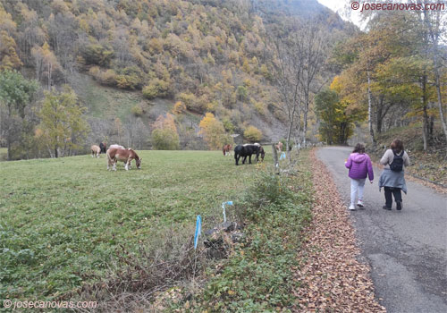 carretera