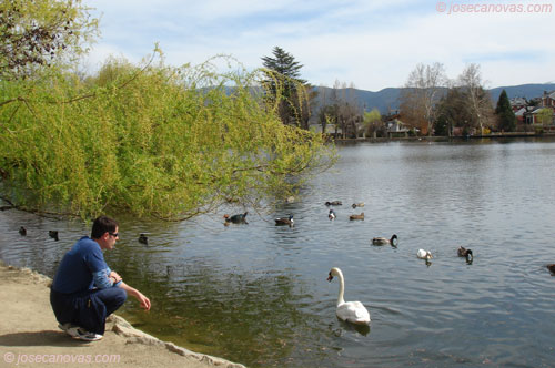 lago2