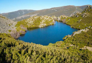 galicia