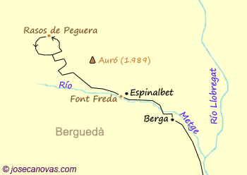 rasos