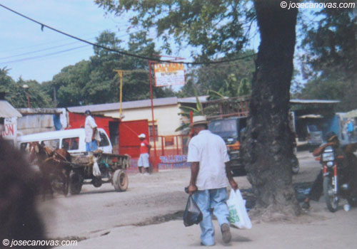 pedro2