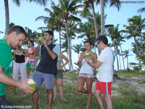 cocos