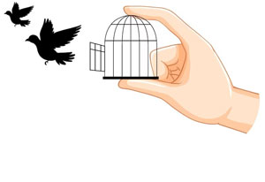 libre