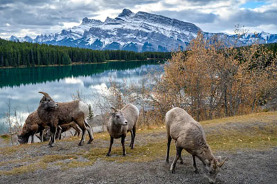 canada