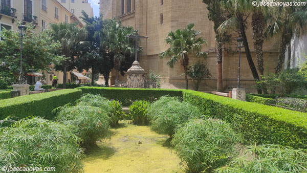 jardin4