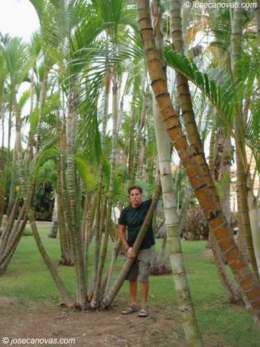 jardin3