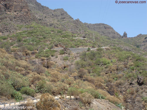 masca3