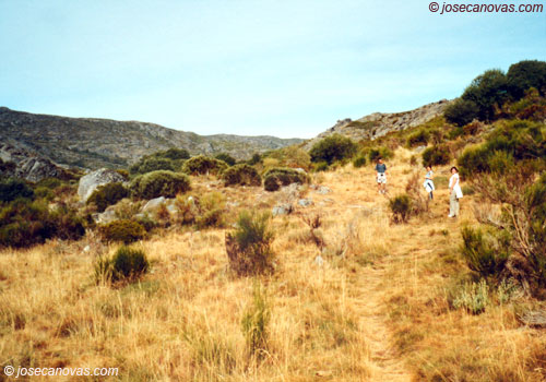 pradera