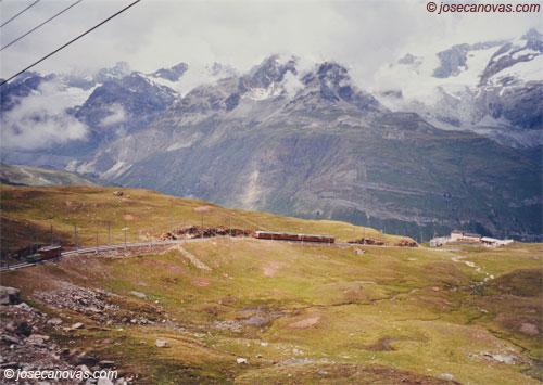 rifelberf